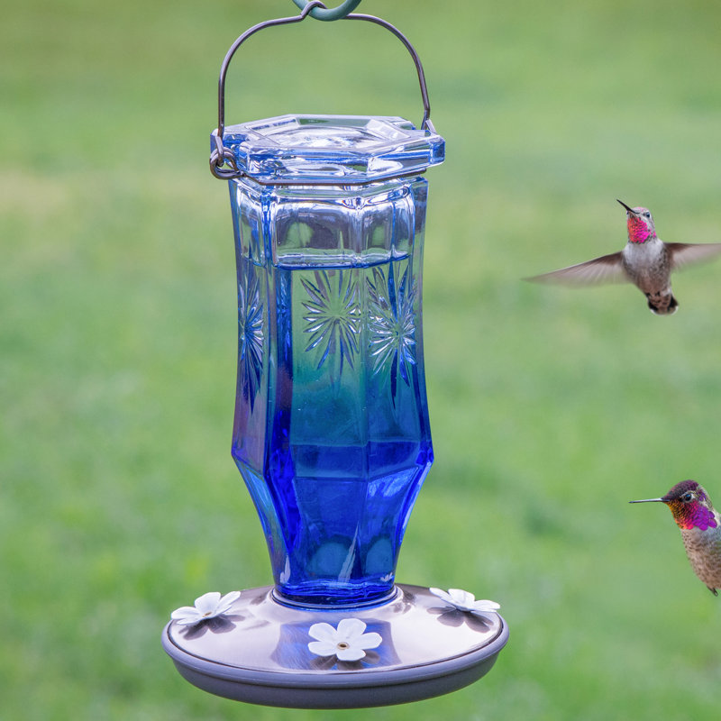 Arlmont & Co. Perky-Pet Starburst Vintage Glass Hummingbird Feeder